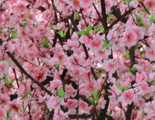 Dense pink artificial cherry blossoms