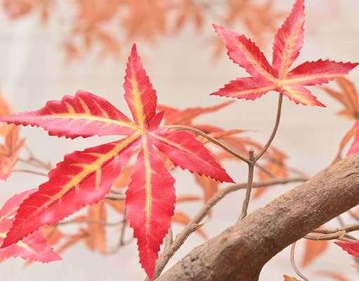 Coral and red artificial maple leaves on a sculpted branch