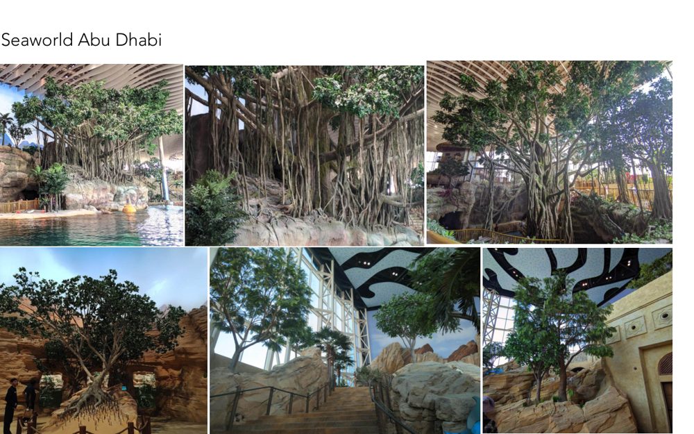 Banyan and ficus trees at SeaWorld Abu Dhabi, from the case studies book