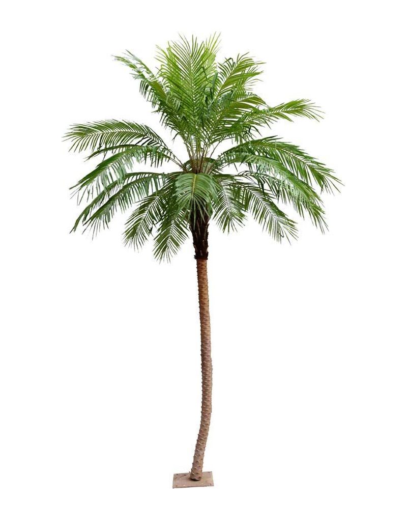 Slender artificial coconut palm