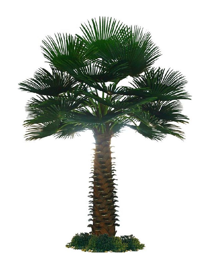 Artificial fan palm with a thick textured trunk