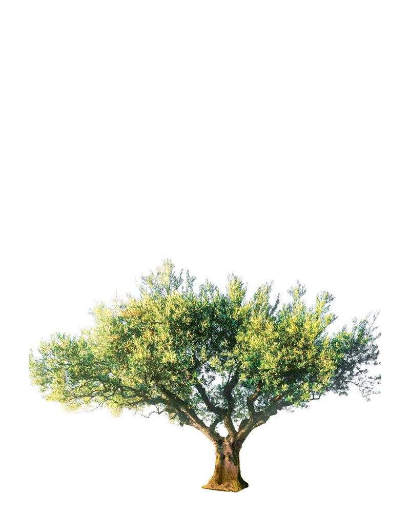 Wide, low-canopy artificial olive tree