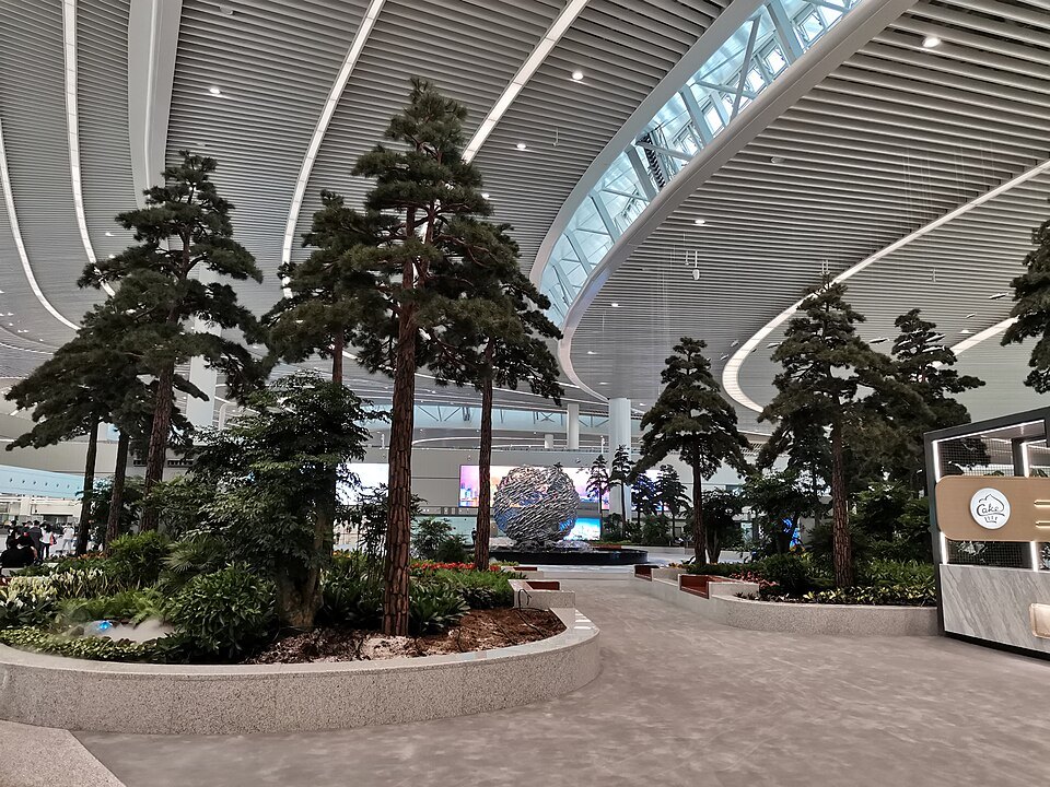 Tall artificial pine trees planted in curved beds inside a bright airport terminal hall