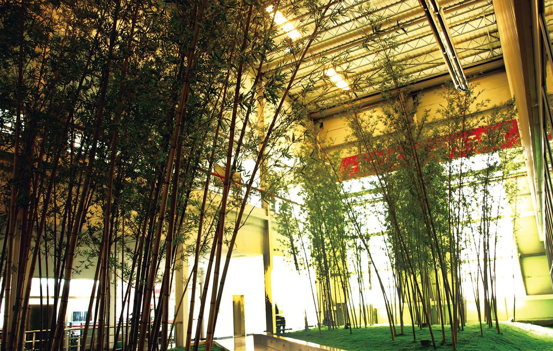 A tall grove of artificial bamboo planted indoors beneath a sunlit atrium roof