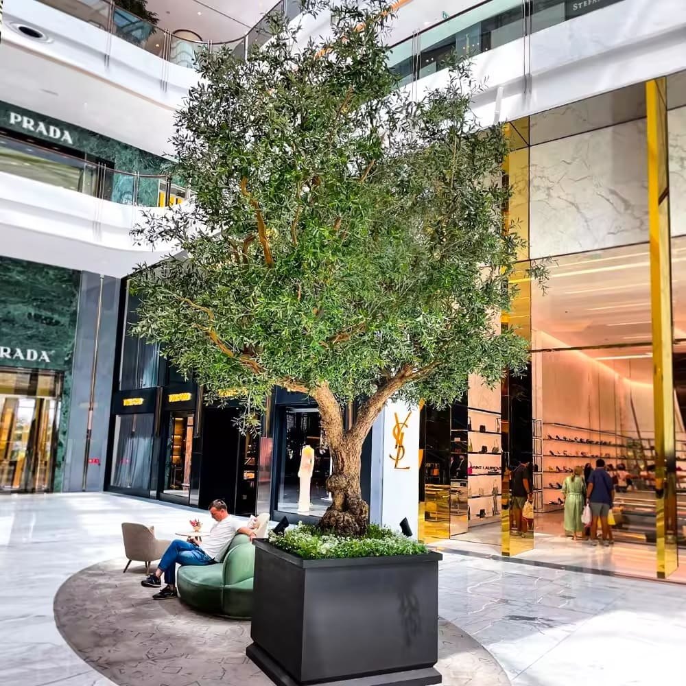 A large artificial olive tree in a black planter in the atrium of a luxury shopping mall