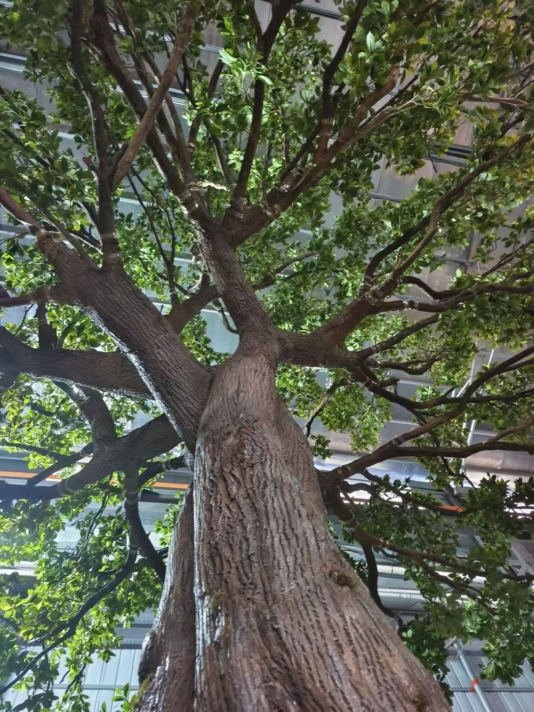 Looking up the sculpted trunk of a large artificial tree into its full green canopy