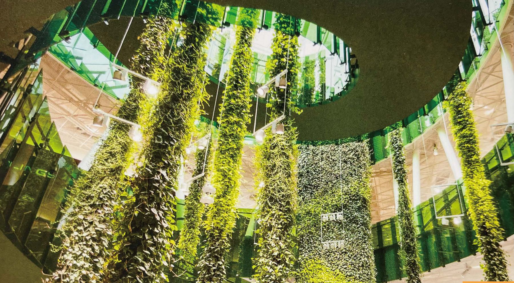 Hanging vertical gardens dropping through a circular atrium